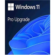 Windows 11 Pro Upgrade (NCE COM BAS PER 1TM)
