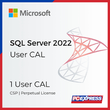 SQL Server 2022 - 1 User CAL (NCE COM BAS PER 1TM)