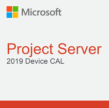 Project Server 2019 Device CAL (NCE COM BAS PER 1TM)