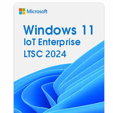 Windows 11 IoT Enterprise LTSC 2024 (NCE COM BAS PER 1TM)