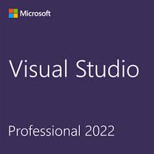 Visual Studio Professional 2022 (NCE COM BAS PER 1TM)