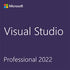Visual Studio Professional 2022 (NCE COM BAS PER 1TM)