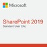 SharePoint Standard 2019 User CAL (NCE COM BAS PER 1TM)