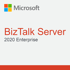 BizTalk Server 2020 Enterprise (NCE COM BAS PER 1TM)