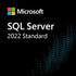 SQL Server 2022 Standard Edition (NCE COM BAS PER 1TM)