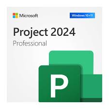 Project Professional 2024 (NCE COM BAS PER 1TM)