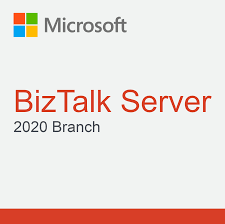 BizTalk Server 2020 Branch (NCE COM BAS PER 1TM)