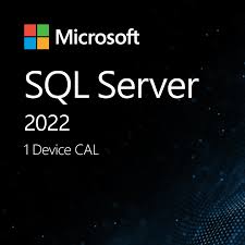 SQL Server 2022 - 1 Device CAL (NCE COM BAS PER 1TM)