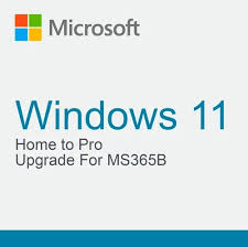 Windows 11 Home N to Pro N Upgrade for Microsoft 365 Business (NCE COM BAS PER 1TM)