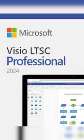 Visio LTSC Professional 2024 (NCE COM BAS PER 1TM)
