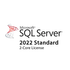 SQL Server 2022 Standard Core - 2 Core License Pack (NCE COM BAS PER 1TM)
