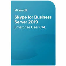 Skype for Business Server Enterprise 2019 User CAL (NCE COM BAS PER 1TM)