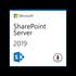 SharePoint Server 2019 (NCE COM BAS PER 1TM)