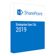 SharePoint Enterprise 2019 User CAL (NCE COM BAS PER 1TM)